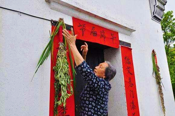 Hanging Wormwood Leaves