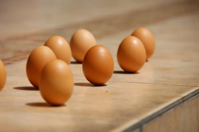 Standing Eggs on One End
