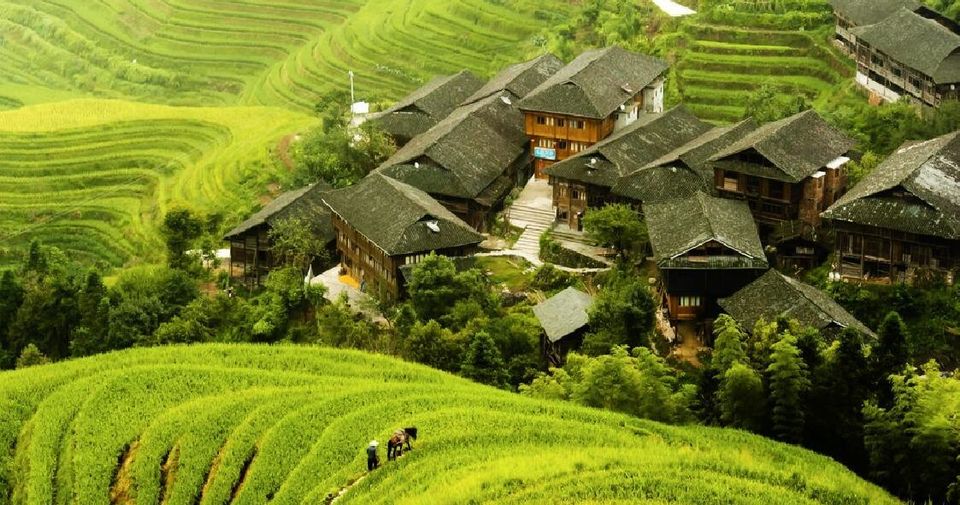 Longjing Terraces