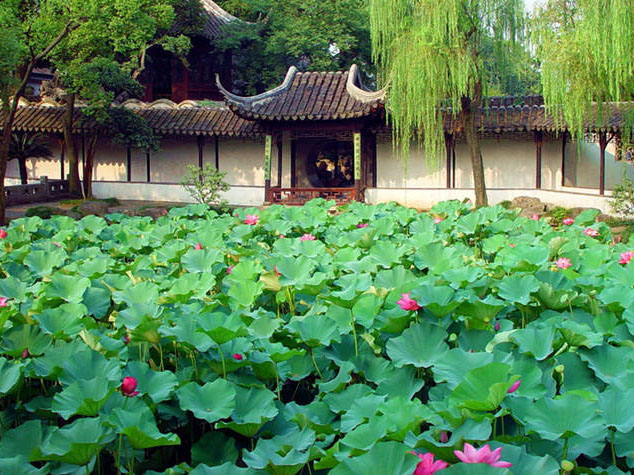Lotus Pavilion