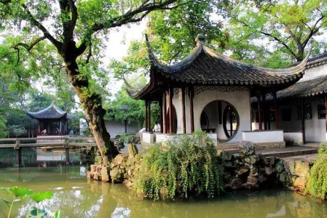 Secluded Pavilion of Firmiana Simplex and Bamboo